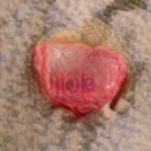 Meet your Posher, Carrie